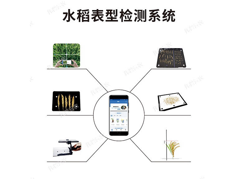 水稻表型檢測系統(tǒng)TPS-BX-1