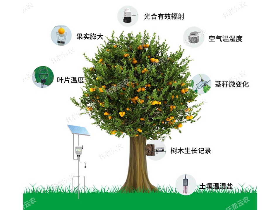 植物生理生態(tài)監(jiān)測(cè)系統(tǒng)TP-ZWSL