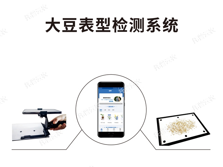 大豆表型檢測系統(tǒng)TPD-BX-1