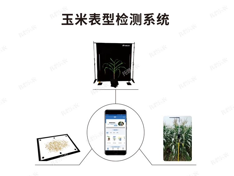 玉米表型檢測系統(tǒng)TPY-BX-1