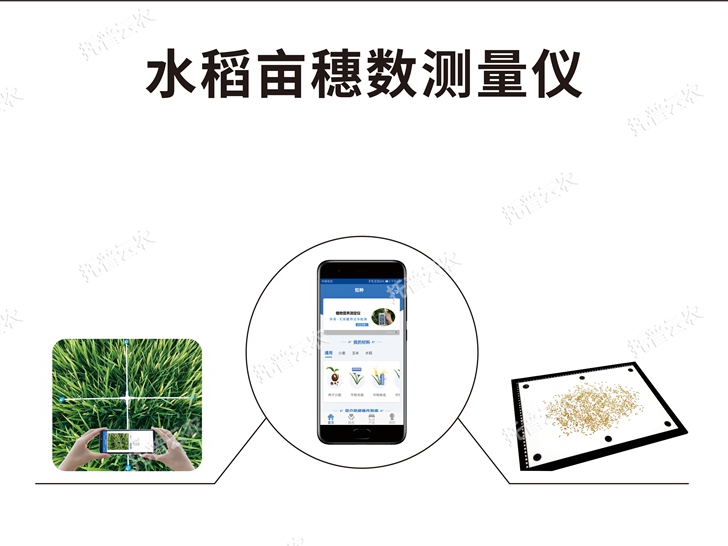 水稻畝穗數(shù)測量系統(tǒng)TPDS-1