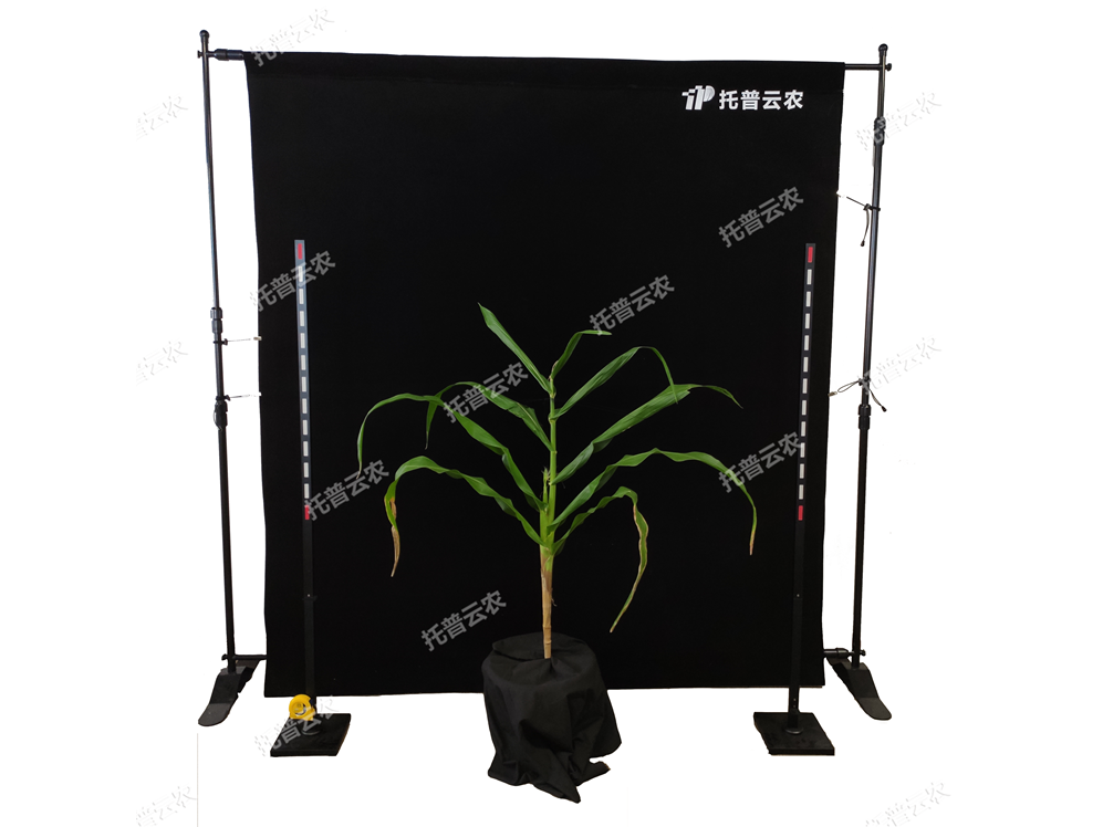 玉米株型分析系統(tǒng)TPMT-X-1